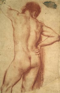 Studio di un uomo nudo